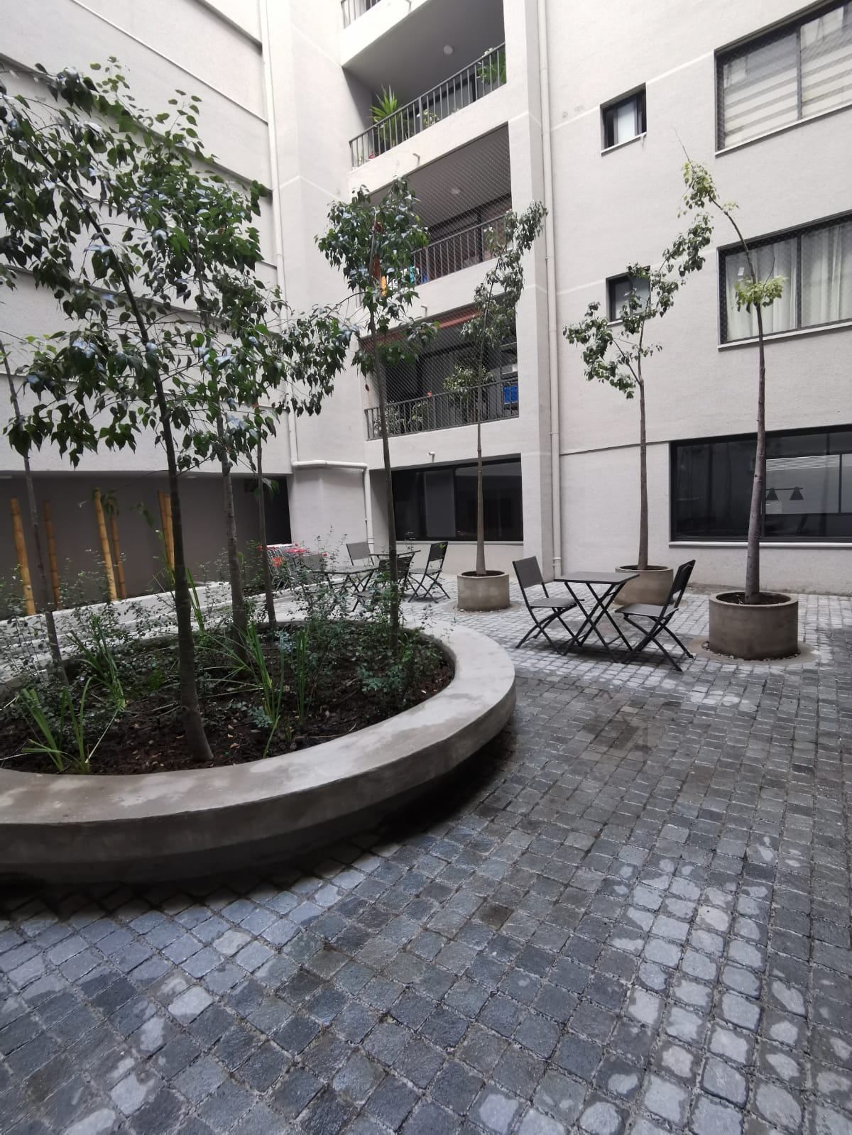 Patio interior con árboles de Edificio Vergara