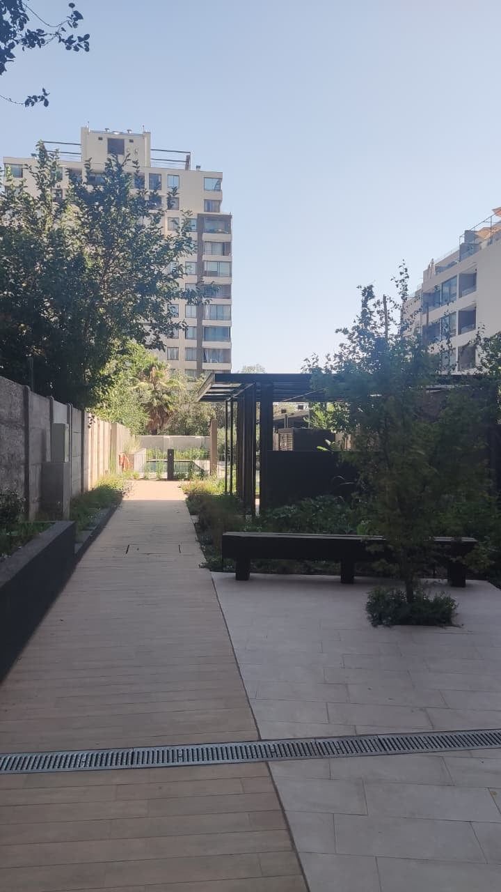 Paseo con árboles entre las torres de Aldunate