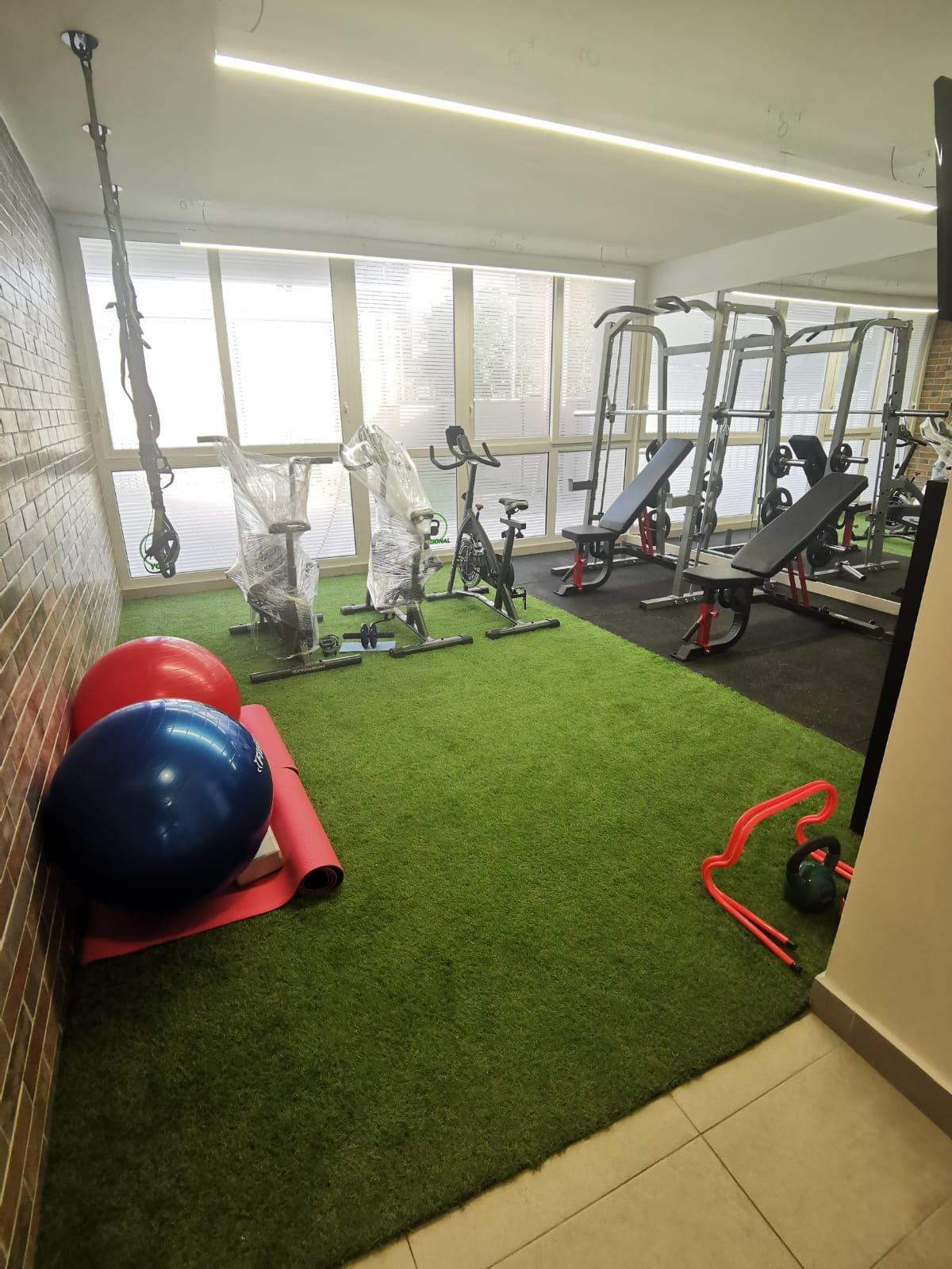 Gimnasio con pasto sintético de Toro Mazote